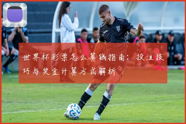 世界杯彩票怎么算钱指南:投注技巧与奖金计算方式解析