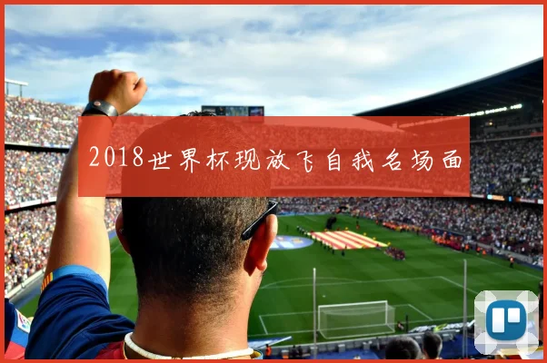 2018世界杯现放飞自我名场面