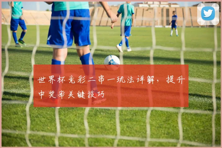 世界杯竞彩二串一玩法详解,提升中奖率关键技巧