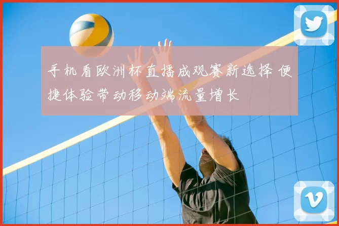 手机看欧洲杯直播成观赛新选择 便捷体验带动移动端流量增长