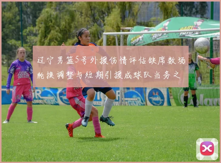 辽宁男篮5号外援伤情评估缺席数场轮换调整与短期引援成球队当务之急