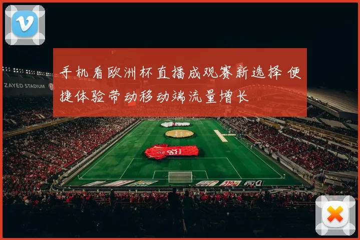 手机看欧洲杯直播成观赛新选择 便捷体验带动移动端流量增长